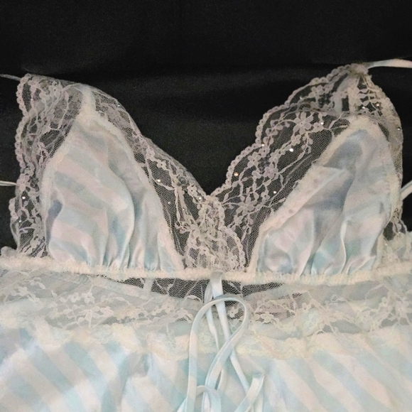 Victoria's Secret Lace Embellished Lingerie Spring  Collection Sz Large - Picture 5 of 10